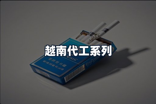 越南代工系列
